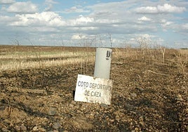 ¿Qué ha pasado este domingo, 19 de octubre, en Extremadura?
