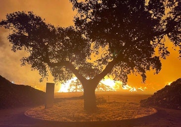 Evoluciona de forma favorable el incendio de la corchera de San Vicente de Alcántara