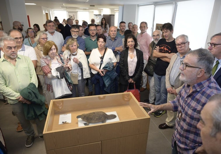 El ornitorrinco sale del Bárbara de Braganza