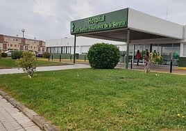 Una mujer de 60 y un hombre de 71 años elevan a 27 los casos de fiebre del Nilo registrados este año en Extremadura