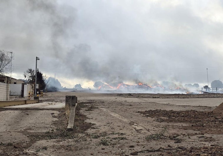 Sigue activo el incendio de la corchera que «puso en peligro el tejido industrial sanvicenteño»