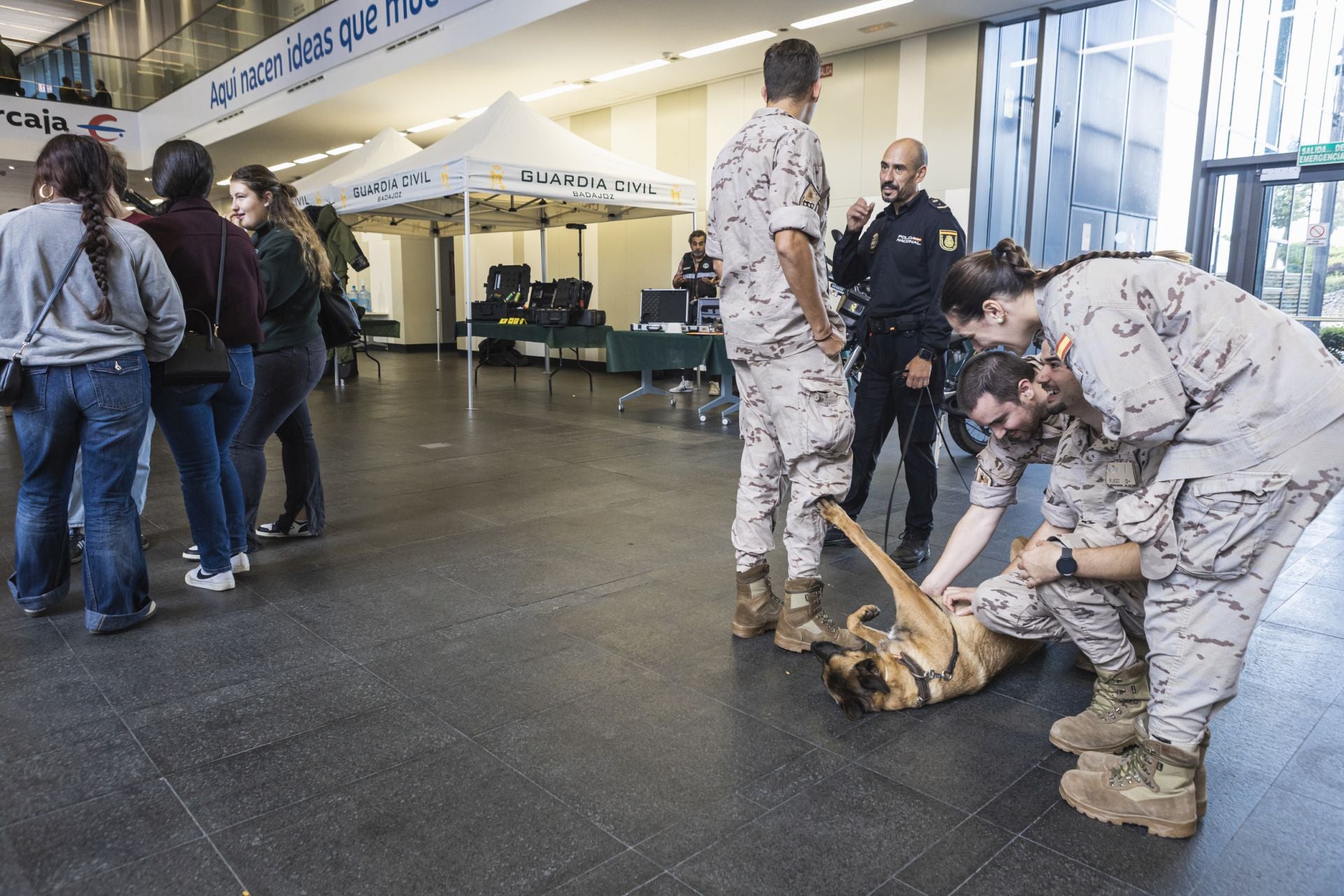 Tanques y uniformes para mostrar las salidas laborales del Ejército en Badajoz