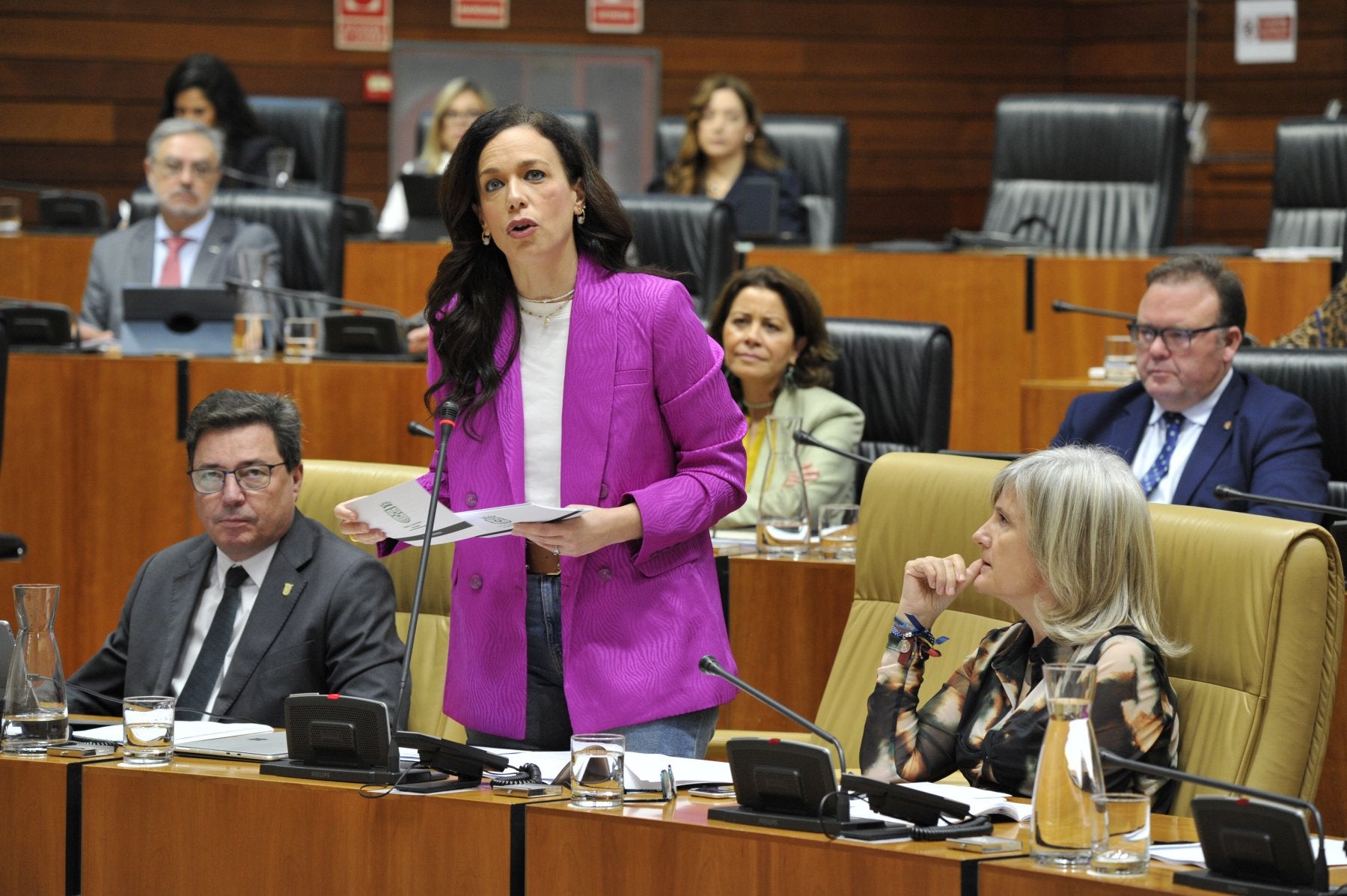 Sara García Espada, en su intervención de ayer en la Asamblea.