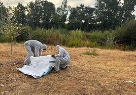 Retirada de residuos peligrosos en las orillas del Guadiana, cerca de Badajoz.