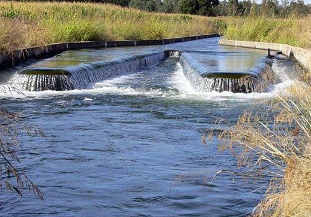 Canal de Orellana en plena campaña de regadío.