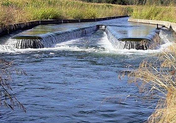 Canal de Orellana en plena campaña de regadío.