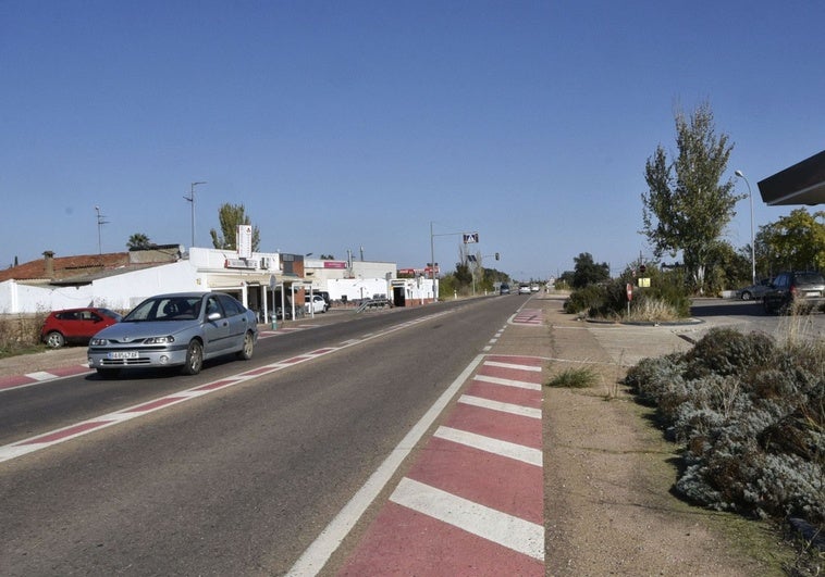 Los conductores alertan de la presencia de caballos sueltos en la carretera de Olivenza
