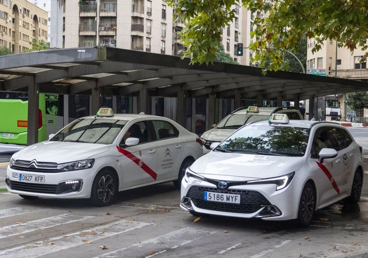 El Ayuntamiento de Cáceres sacará cinco nuevas licencias de taxis y elevará a 80 los coches disponibles