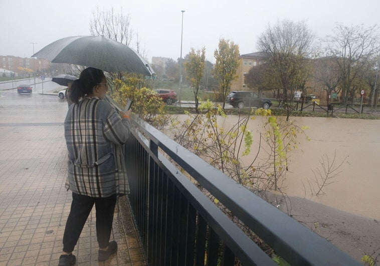 Seis residencias, un hospital y 12 colegios de Extremadura están construidos en zonas inundables