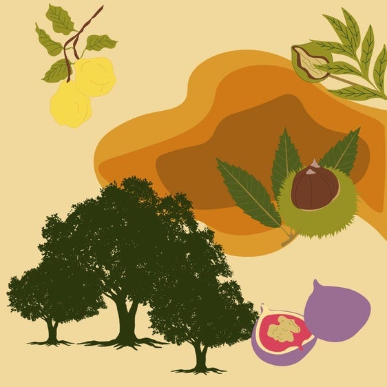 Frutos otoñales para celebrar el 'Halloween extremeño'