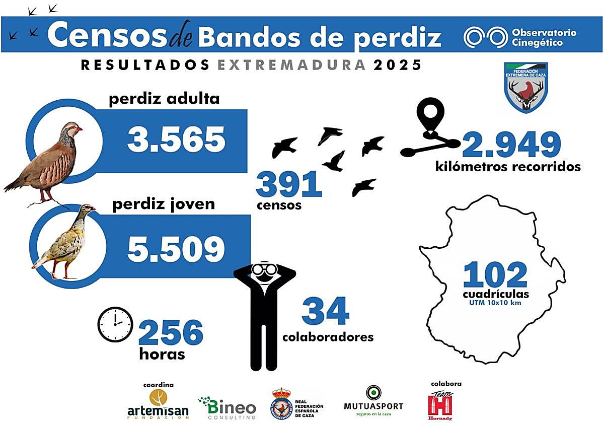 Extremadura lidera los censos de bandos de perdiz en España con casi 400 conteos registrados