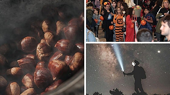 Extremadura se llena de calabazas y castañas