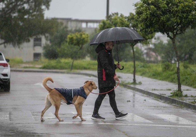 La Aemet lo confirma: la llegada de una nueva borrasca activa ya los avisos en Extremadura por lluvias y tormentas