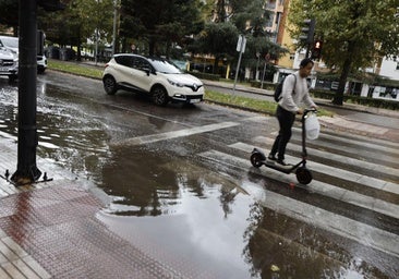 Los efectos del temporal en Badajoz, en imágenes