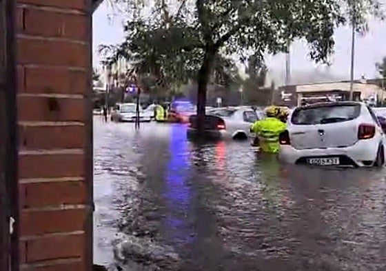 Imagen captada junto a la estación de autobuses de Cáceres.