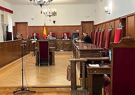 El juicio se ha celebrado con la ausencia de la acusada.