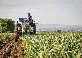 Una plataforma para conectar a la cadena alimentaria