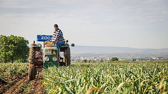 Una plataforma para conectar a la cadena alimentaria