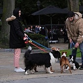 Dueños con sus perros en una imagen de archivo.