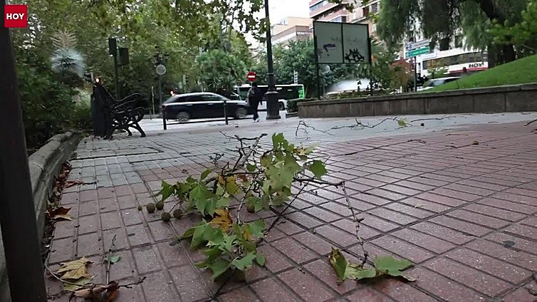 Temporal en Cáceres: parques cerrados y varios avisos por desprendimientos en edificios