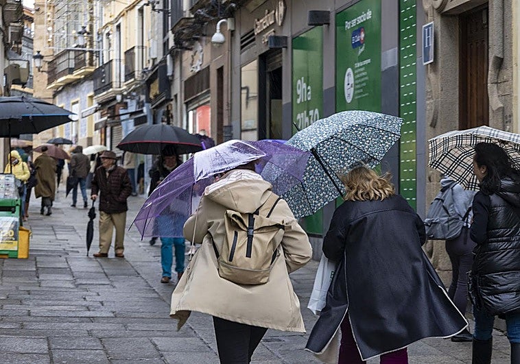 ¿Qué ha pasado este viernes, 14 de noviembre, en Extremadura?