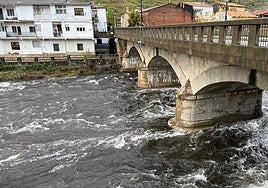Fotos | Crecida del río Jerte a su paso por Navaconcejo