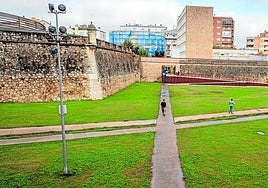 Aspecto actual del corredor verde de la calle Stadium.