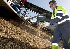 Trabajos en una planta de biomasa.