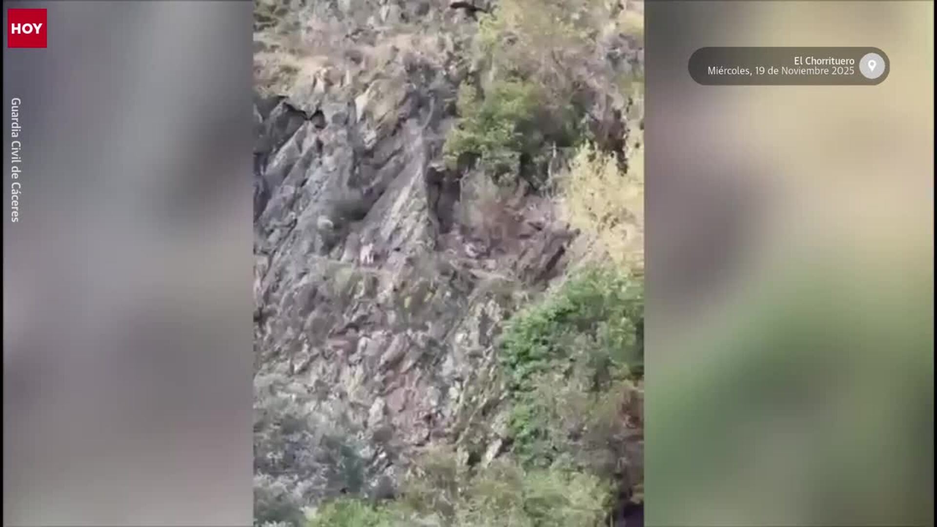Rescatan a un perro que había quedado atrapado en una cascada de Las Hurdes