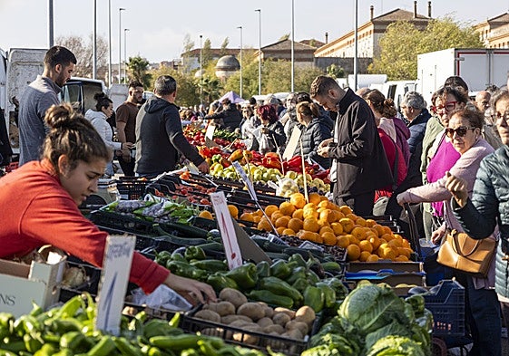 Mercado franco en Vegas del Mocho este mes de noviembre.