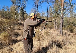 Imagen de una montería en Azuaga.