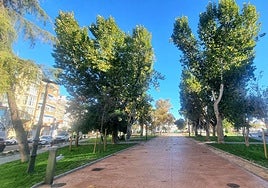 Parque López de Ayala, esta mañana, desde la avenida de Extremadura.