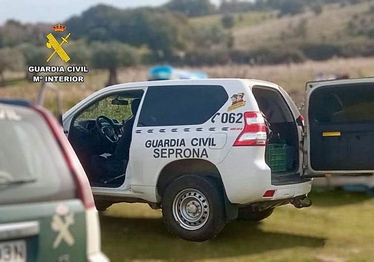 Investigan a tres empresas por el uso fraudulento de la denominación de origen Pimentón de La Vera