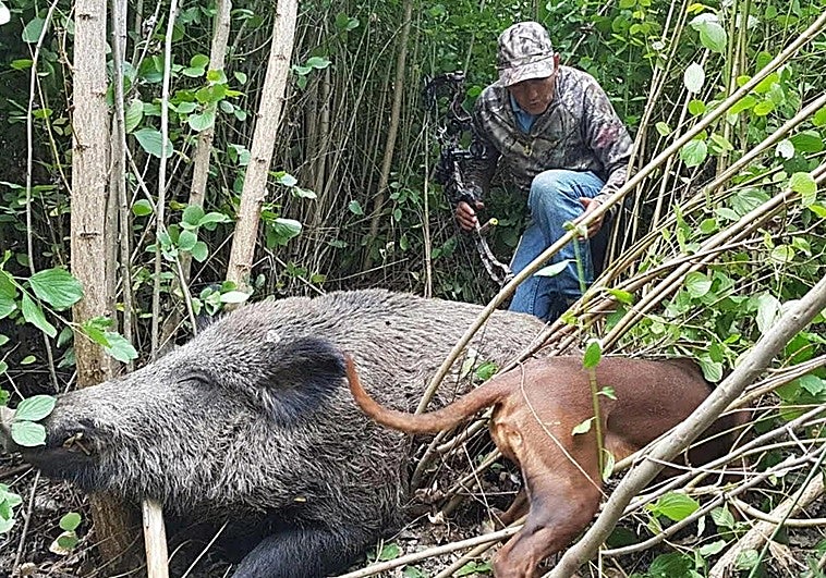 Los cazadores podrán vender de manera directa hasta dos piezas abatidas cada semana