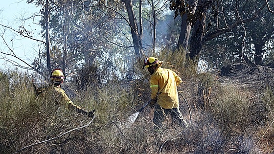 La Audiencia absuelve al acusado de originar un incendio forestal con una desbrozadora en Mirabel