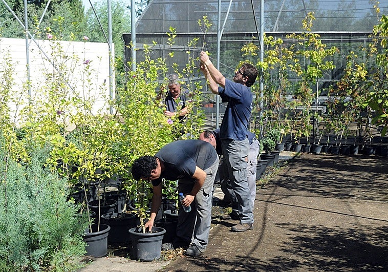 La subida salarial de 100 euros mensuales no llega a todos los docentes de las escuelas taller