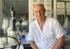 «El temor a que la peste porcina llegue a Extremadura está en el extensivo»