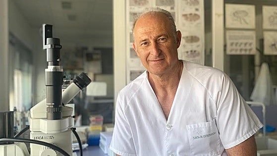 «El temor a que la peste porcina llegue a Extremadura está en el extensivo»