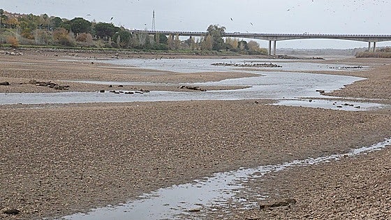 ¿Qué ha pasado este viernes, 5 de diciembre, en Extremadura?