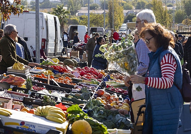 Los ambulantes no tendrán dos mercadillos extra en Cáceres pero pueden cambiar de día los de Nochebuena y Nochevieja