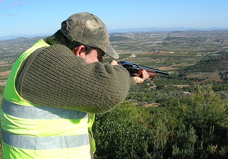 Una empresa recogerá los subproductos para incentivar la caza de jabalíes