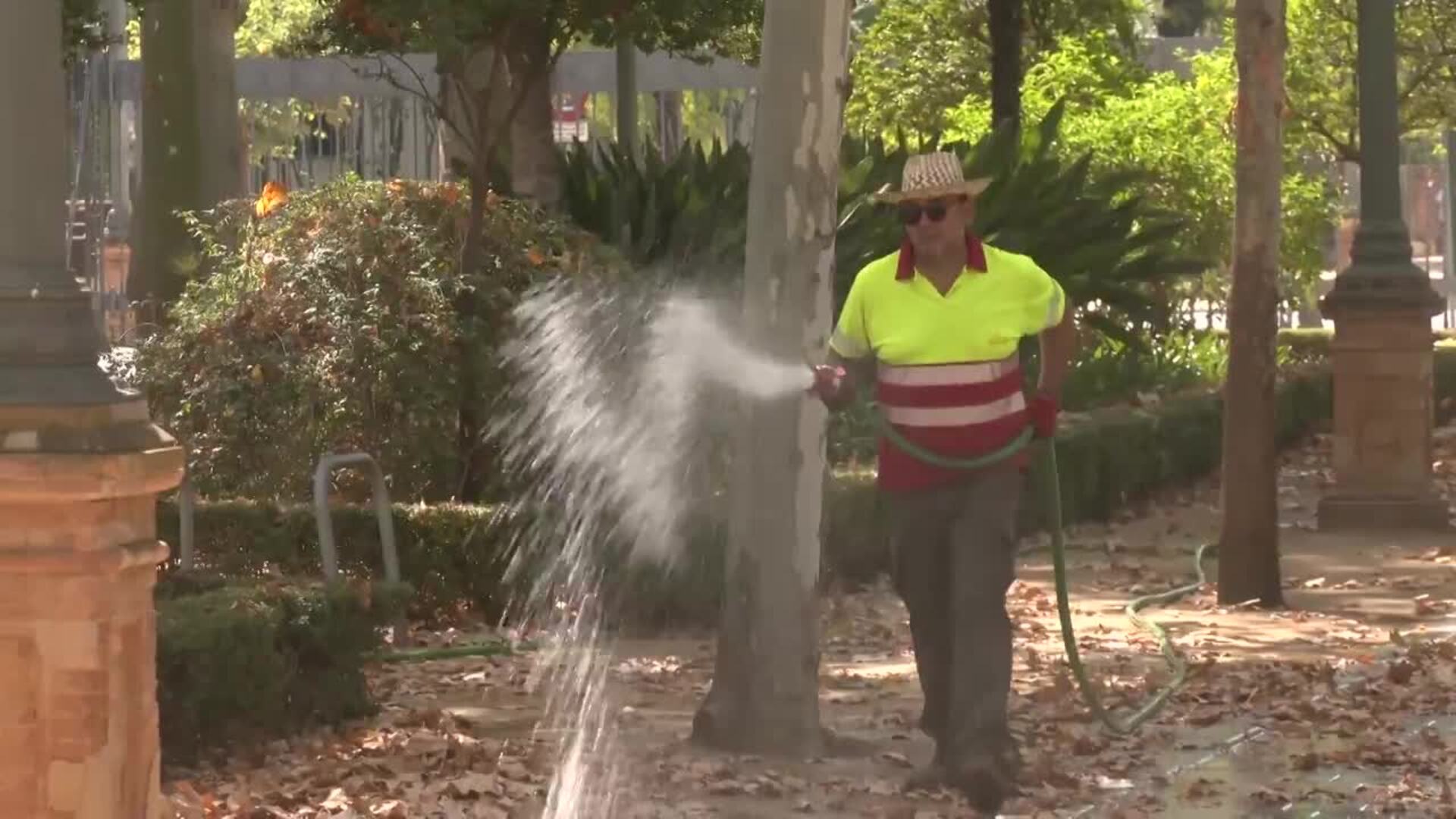 AEMET informa de que el pasado martes 12 de agosto fue el día más cálido de la ola de calor