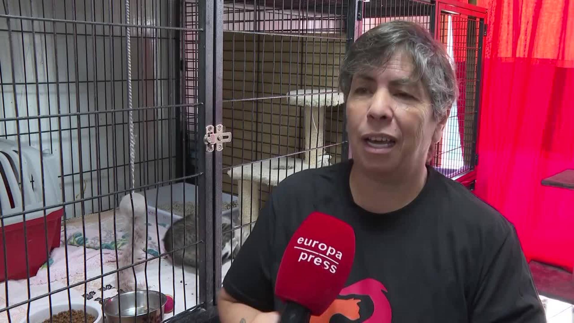 ACUNR asegura que "adoptar es un acto de amor" en el Día del Animal sin Hogar