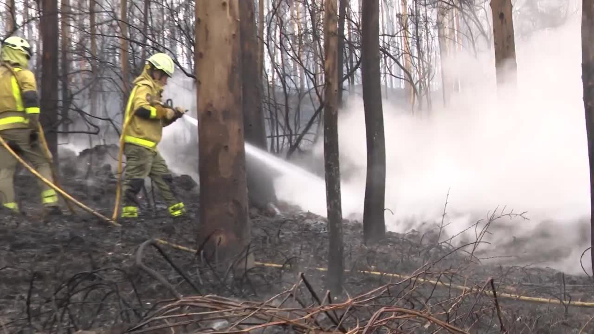 Estabilizado el incendio de Barreiros después de arrasar 80 hectáreas