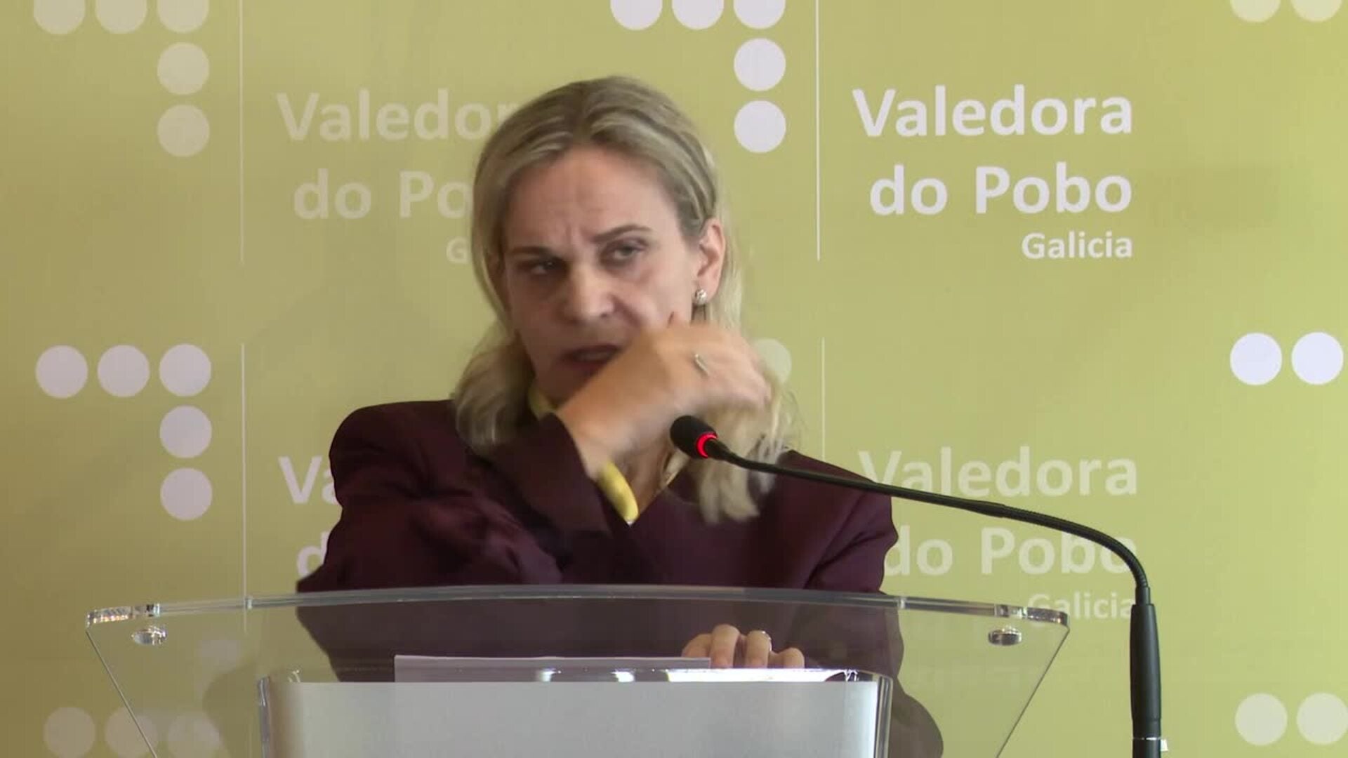 Las quejas a la Valedora siguen al alza: 16.562 expedientes en 2024