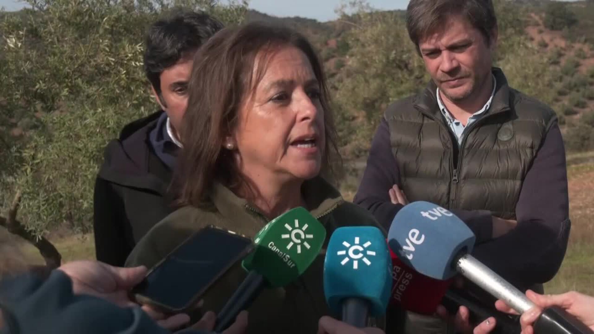 Kai, una lince ibérico recuperada en el CREA de Los Villares, vuelve al medio natural en Adamuz
