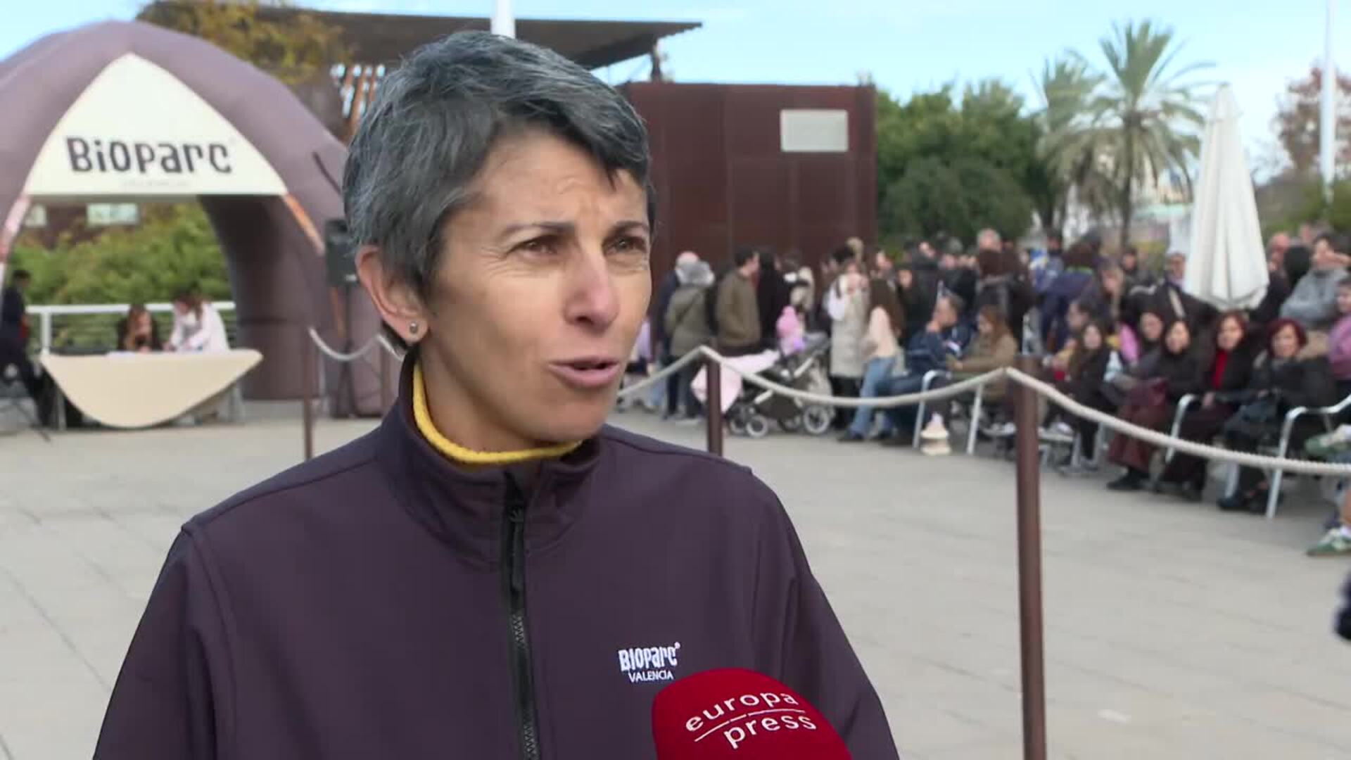 Nuevo desfile de perros en el Bioparc con el objetivo de encontrarles hogar