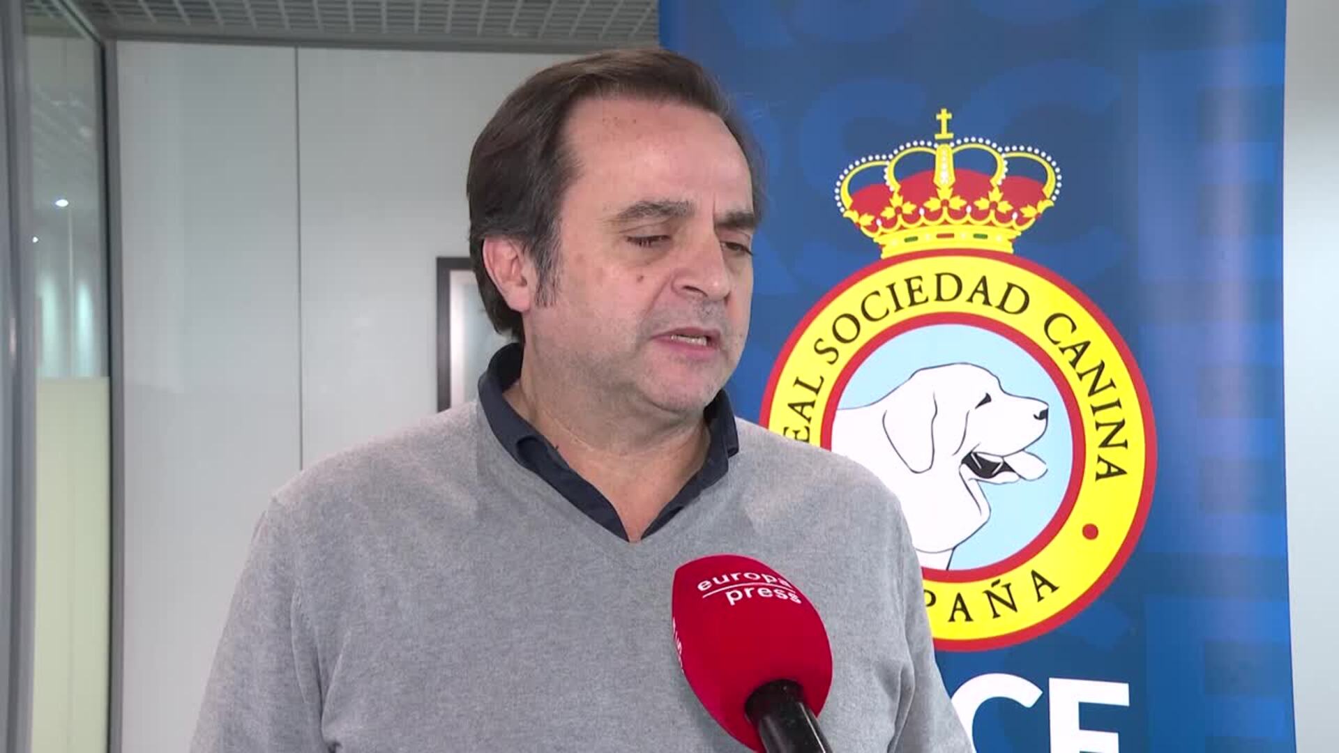 La RSCE pide una tenencia responsable de perros porque el 25% se abandonan tras la Navidad