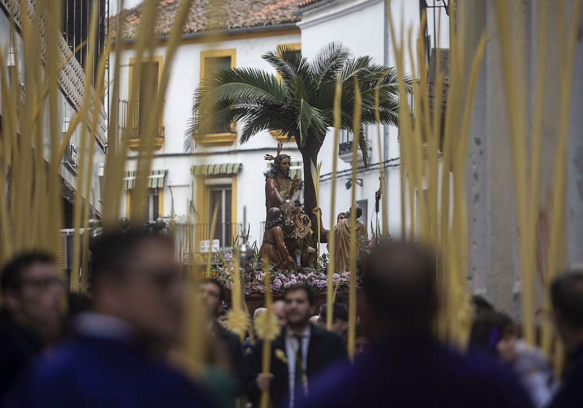 La cofradía de los Ramos protagonizará el cartel de la Semana Santa de 2026. En la imagen, procesión de la Burrina del Domingo de Ramos de 2025.