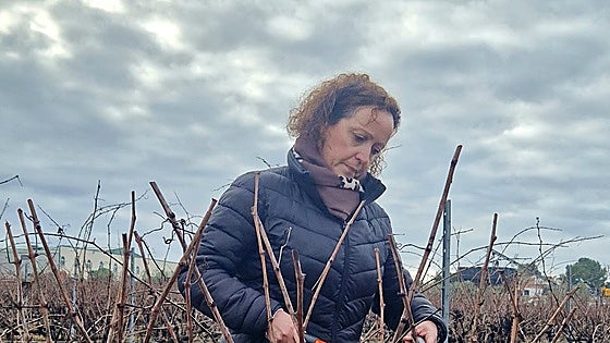 El concurso de poda Ribera del Guadiana tiene por vez primera participación femenina